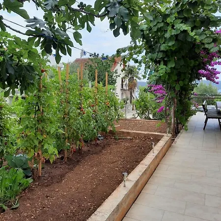 Half Of House To Rent - Family Zelenika Apartment *