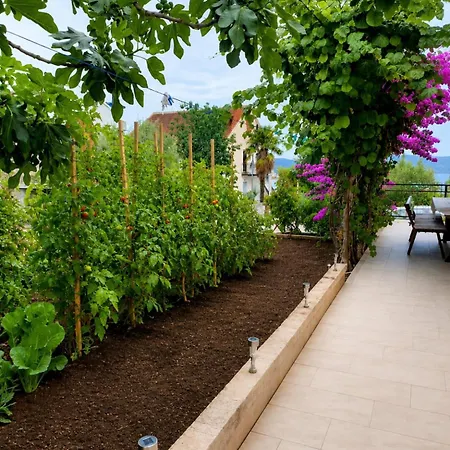 Half Of House To Rent - Family Zelenika Τρογκίρ